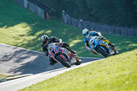 brands-hatch-photographs;brands-no-limits-trackday;cadwell-trackday-photographs;enduro-digital-images;event-digital-images;eventdigitalimages;no-limits-trackdays;peter-wileman-photography;racing-digital-images;trackday-digital-images;trackday-photos